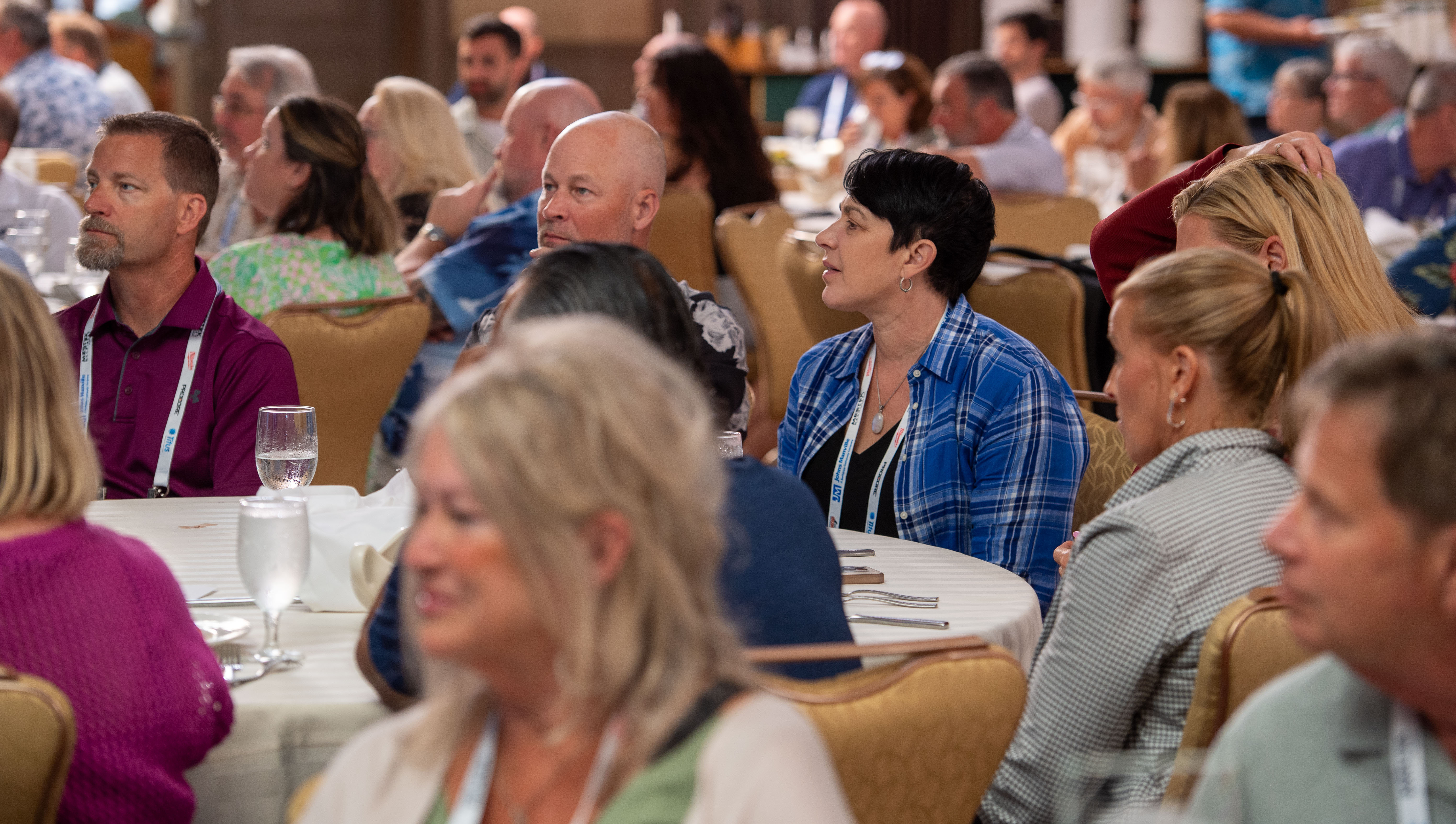 random crowd shot if needed