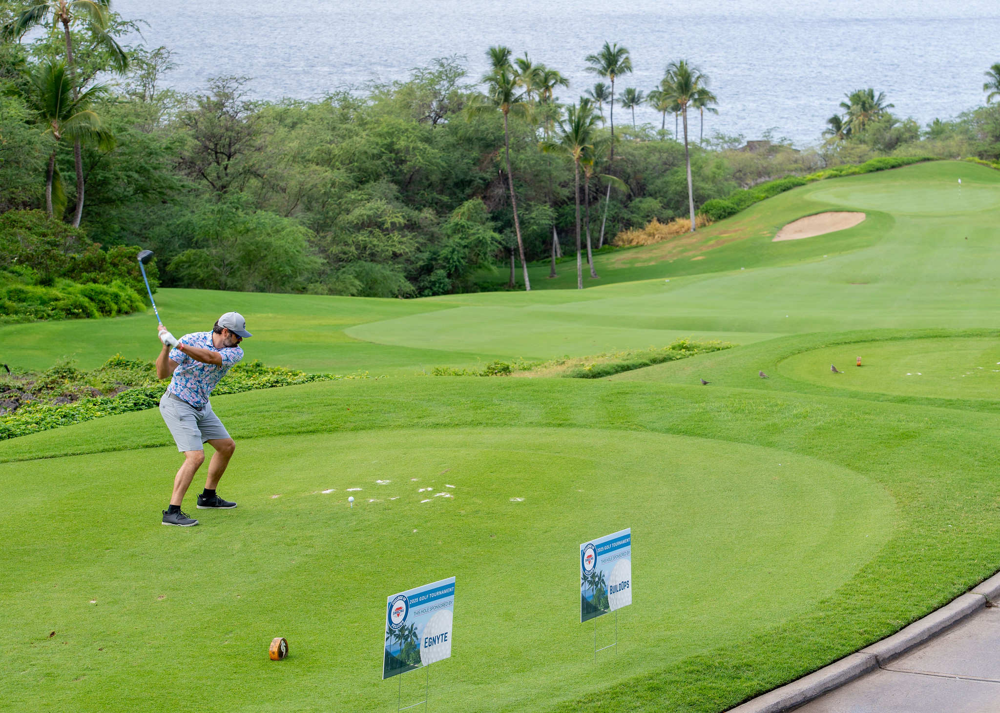 54882313986_f9fb27b4a5_k