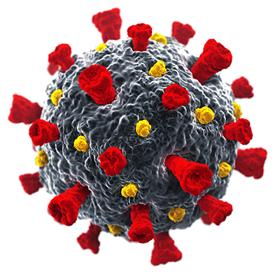 Coronavirus